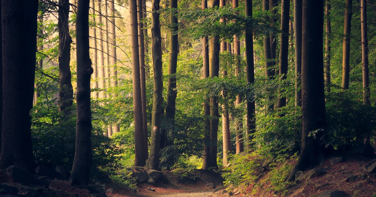 Sauerland: Warum Tourismus- und Freizeitanbieter online sichtbarer werden müssen